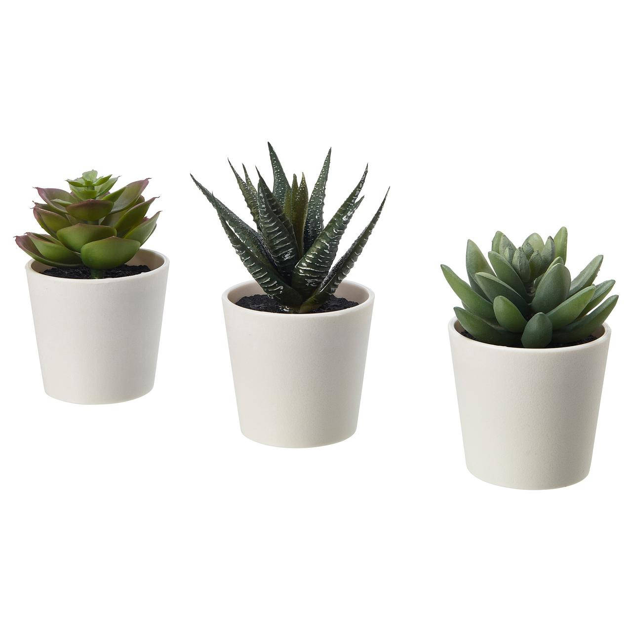 

ФЕЙКА Искусственное растение в кашпо, суккулент, 12 см 50519764, IKEA, ИКЕА, FEJKA