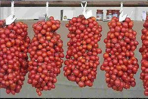 

Томат " Riesentraube "