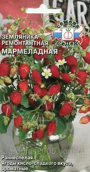 

Семена земляники ремонтантной Мармеладная 0,04 грамма Седек