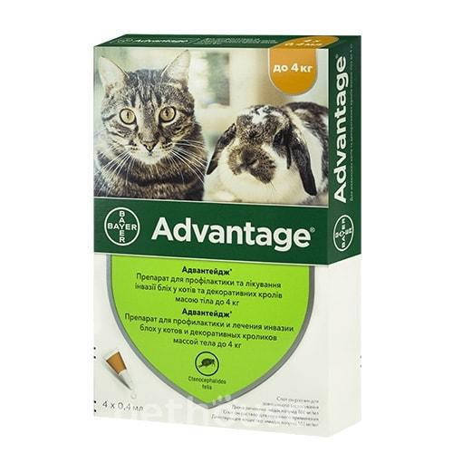 

Капли Bayer Advantage 40, для кошек весом до 4 кг, Прозрачный
