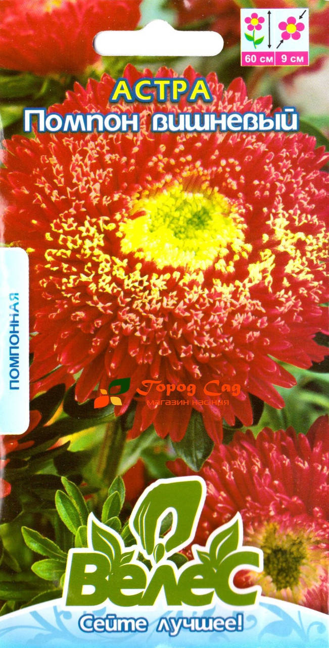 

Семена астры Помпон вишневый 0,3г ТМ ВЕЛЕС