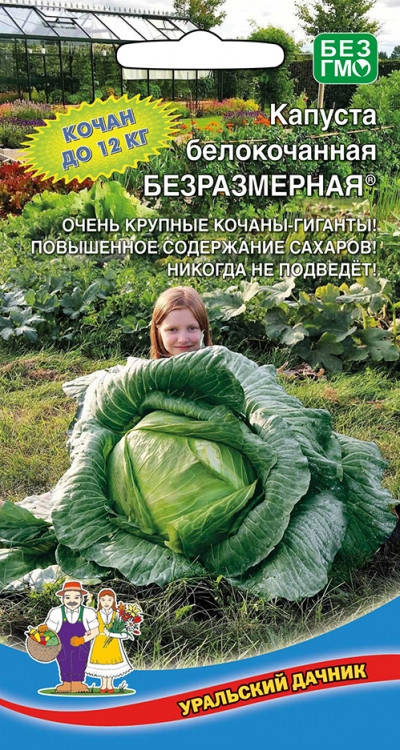 

Уральский Дачник. Семена Капуста белокачанная Безразмерная, позднеспелая, 0,3 г