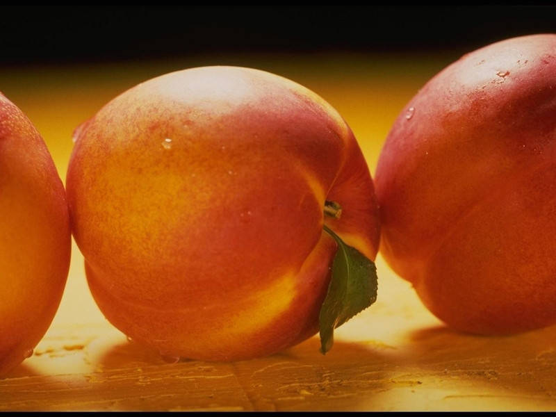 

Саженцы абрикоса ПОЛУПЛОИД среднего срока созревания