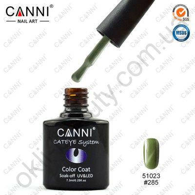 

Гель-лак "Кошачий глаз" Canni №285