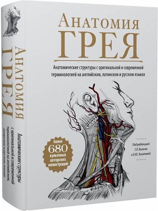 

Книга Анатомия Грея. Автор - Габриэль Билич, Елена Зигалова (Форс)