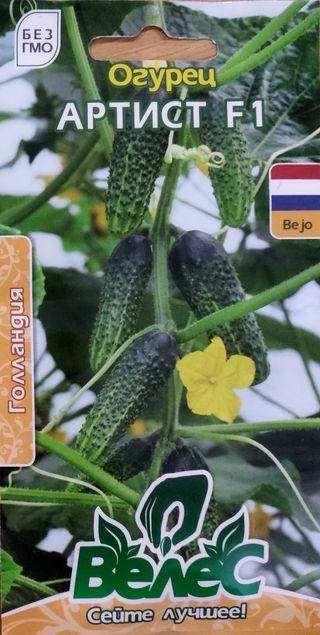 

Семена огурца Артист F1 10шт ТМ ВЕЛЕС
