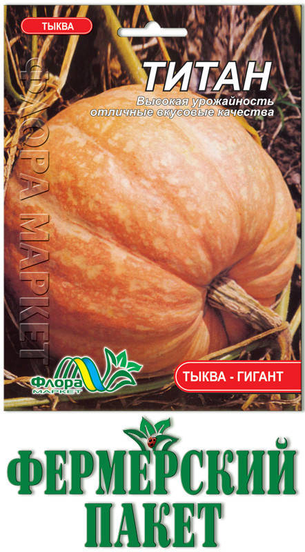 

Тыква Титан (большой пакет)