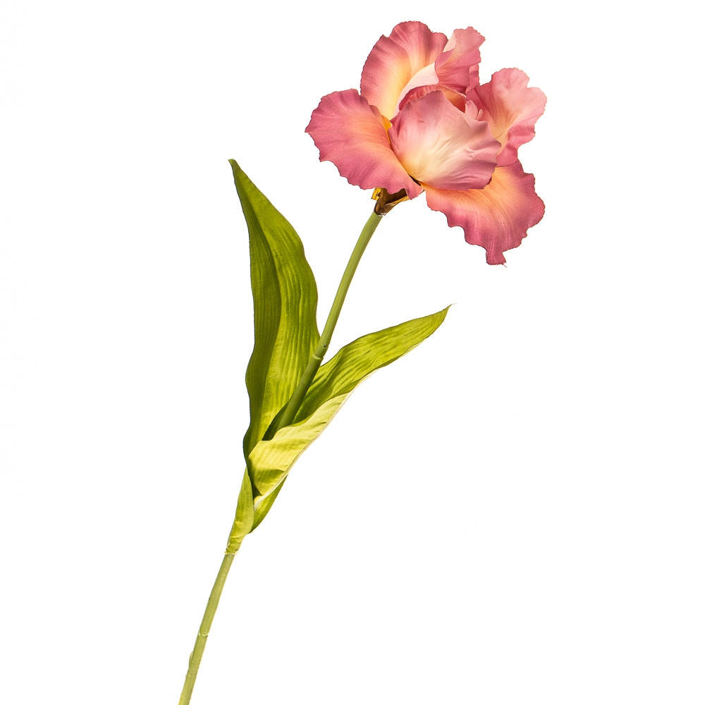 

Цветок искусственный "Ирис алый закат"