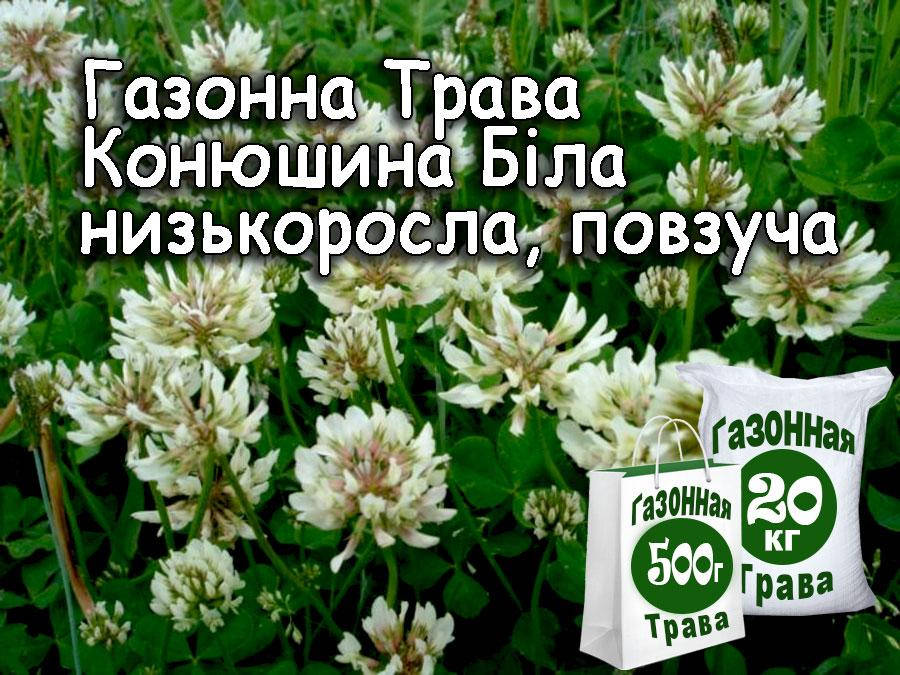 

Професійне насіння. Семена Газонная трава Белый Клевер, 500 г