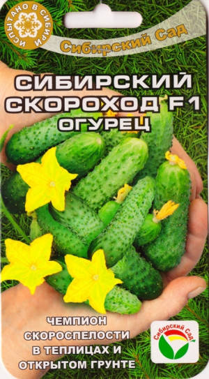 

Семена Огурец самоопыляющийся Сибирский Скороход F1, 7 семян Сибирский Сад