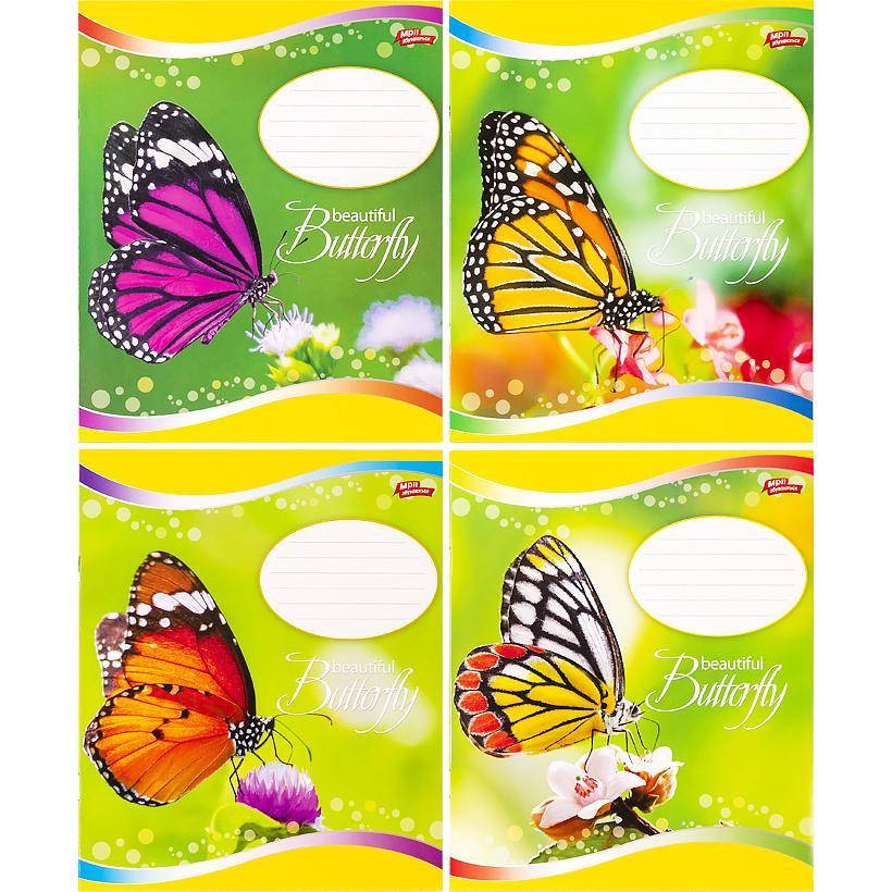 

Тетрадь школьная Мрії Збуваються 12л в линию арт. 3078