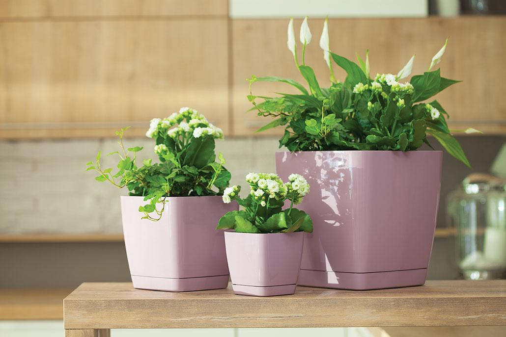 

Горшок для цветов Form-Plastic Тоскана квадратный 3,7 л 17 х 16 см, Цвет Кремовый