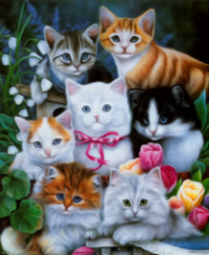 

Алмазная мозаика Котята 30*40см без рамки 40*8*5см (H8361)