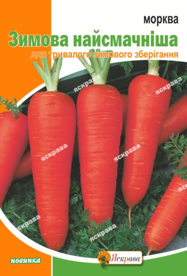 

Морковь Зимняя вкусная 10 г, семена Яскрава