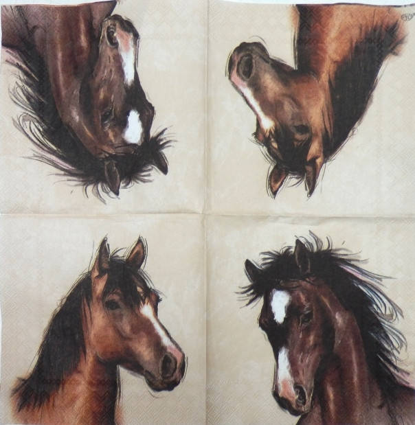 

Салфетка для декупажа Ж-57 (25х25см)