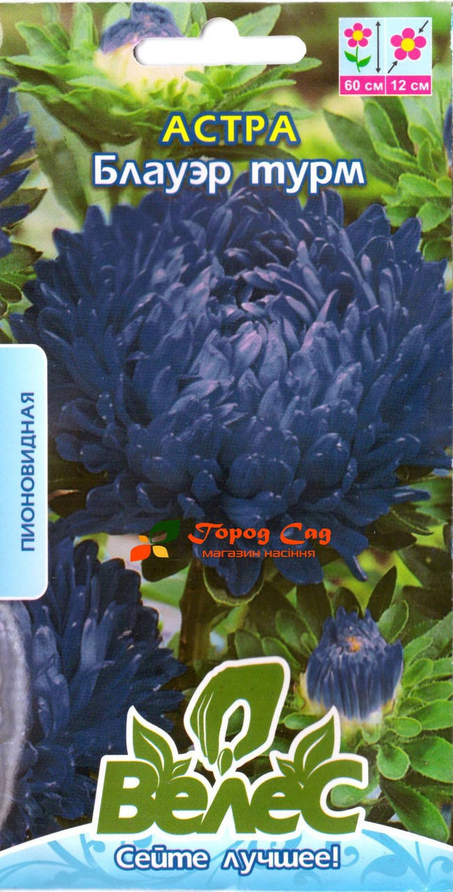 

Семена астры Блауэр турм 0,3г ТМ ВЕЛЕС