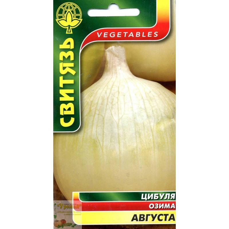 

Семена лук озимый Августа, 1 г