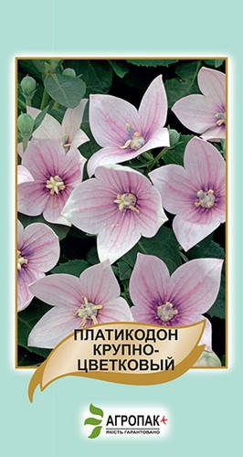 

Семена цветов Платикодон крупно-цветковый 50шт. Агропак плюс розовый