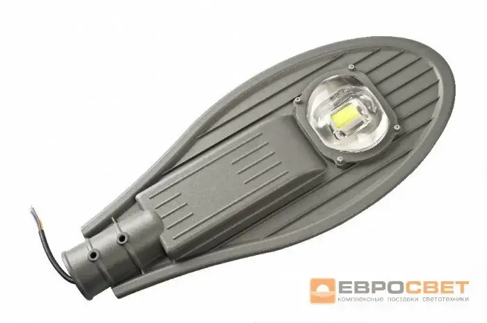 

Уличный LED светильник Евросвет 30W 5000K IP65 ST-30-08 000053646