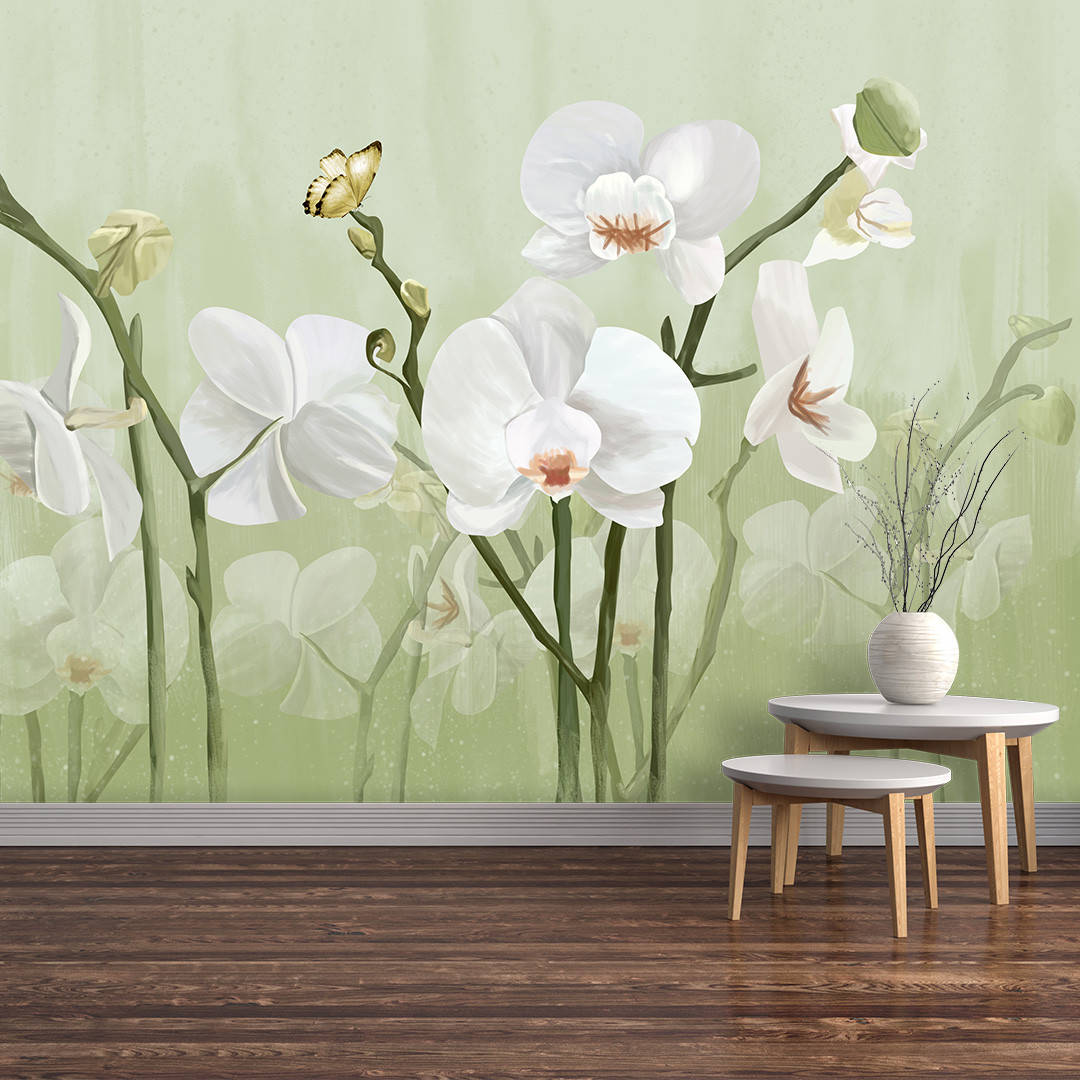

Фотообои Белые орхидеи на салатовом фоне Aртикул 11794