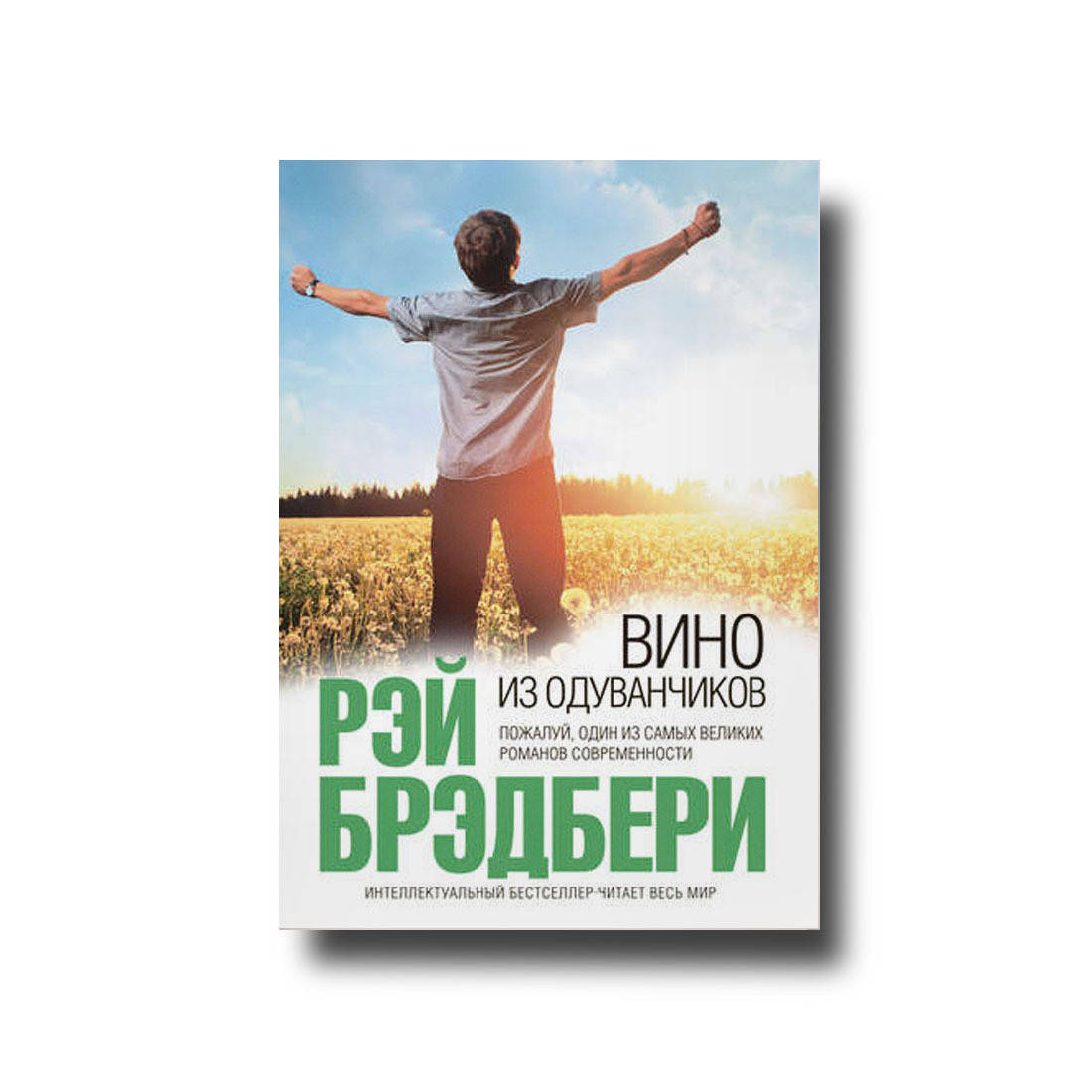 

Вино из одуванчиков