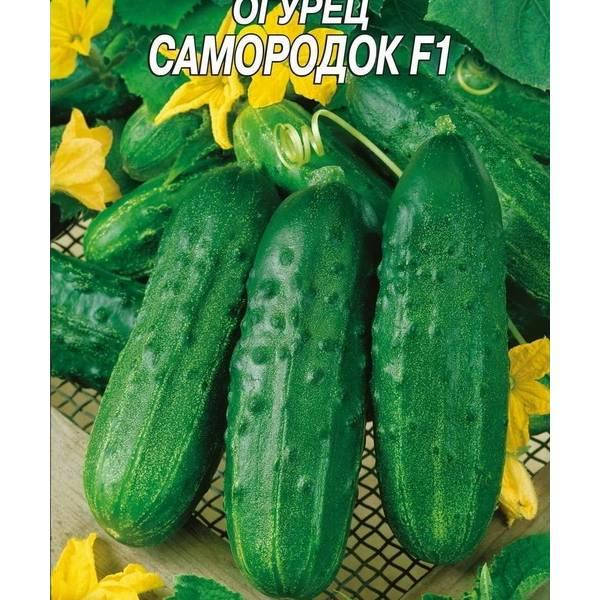 

Огурец САМОРОДОК F1 0,3 г Эмикс (20 пачек) (рс) ТМ ЕКОНОМИКС