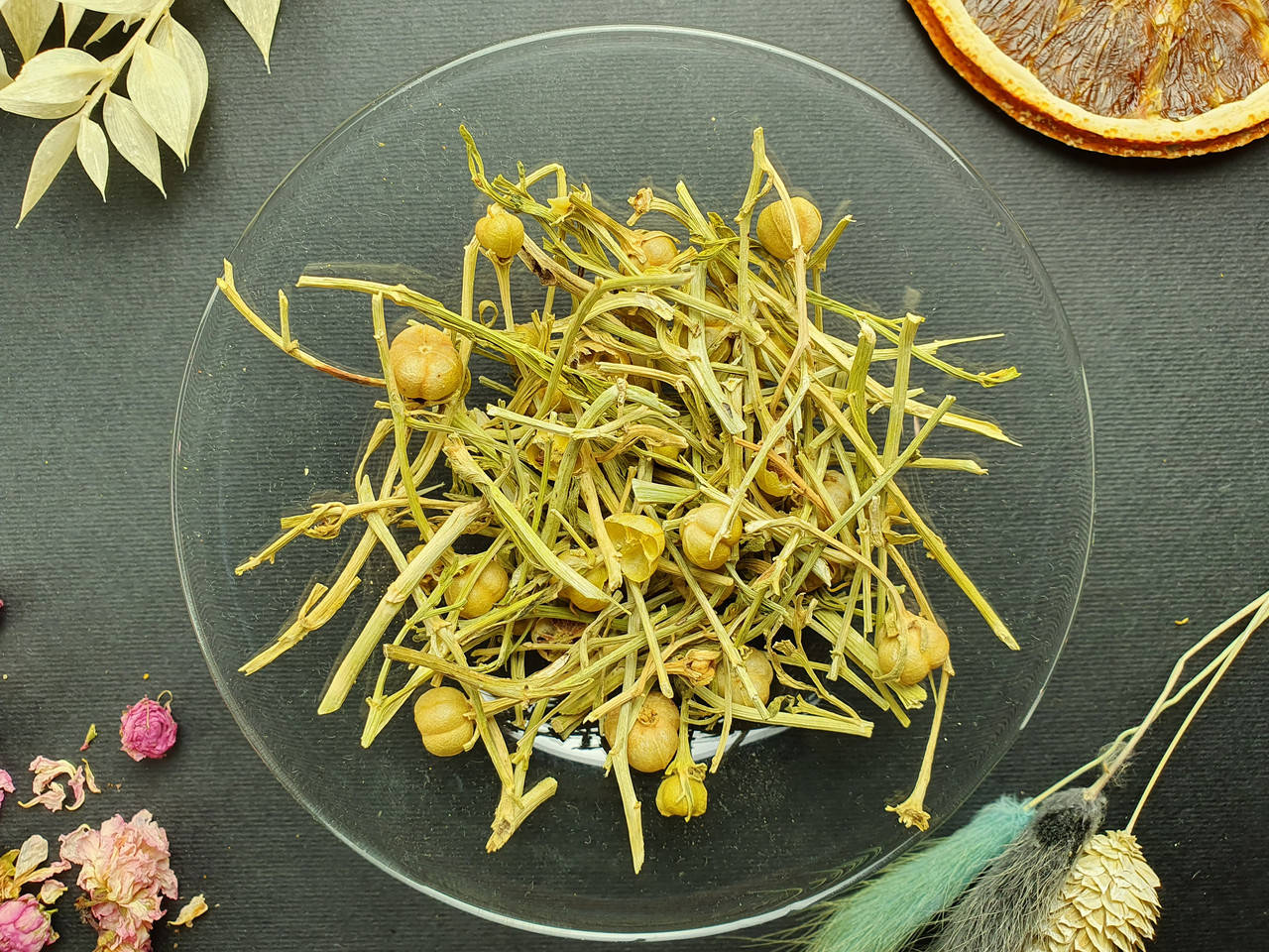 

Гармала обыкновенная трава (могильник)