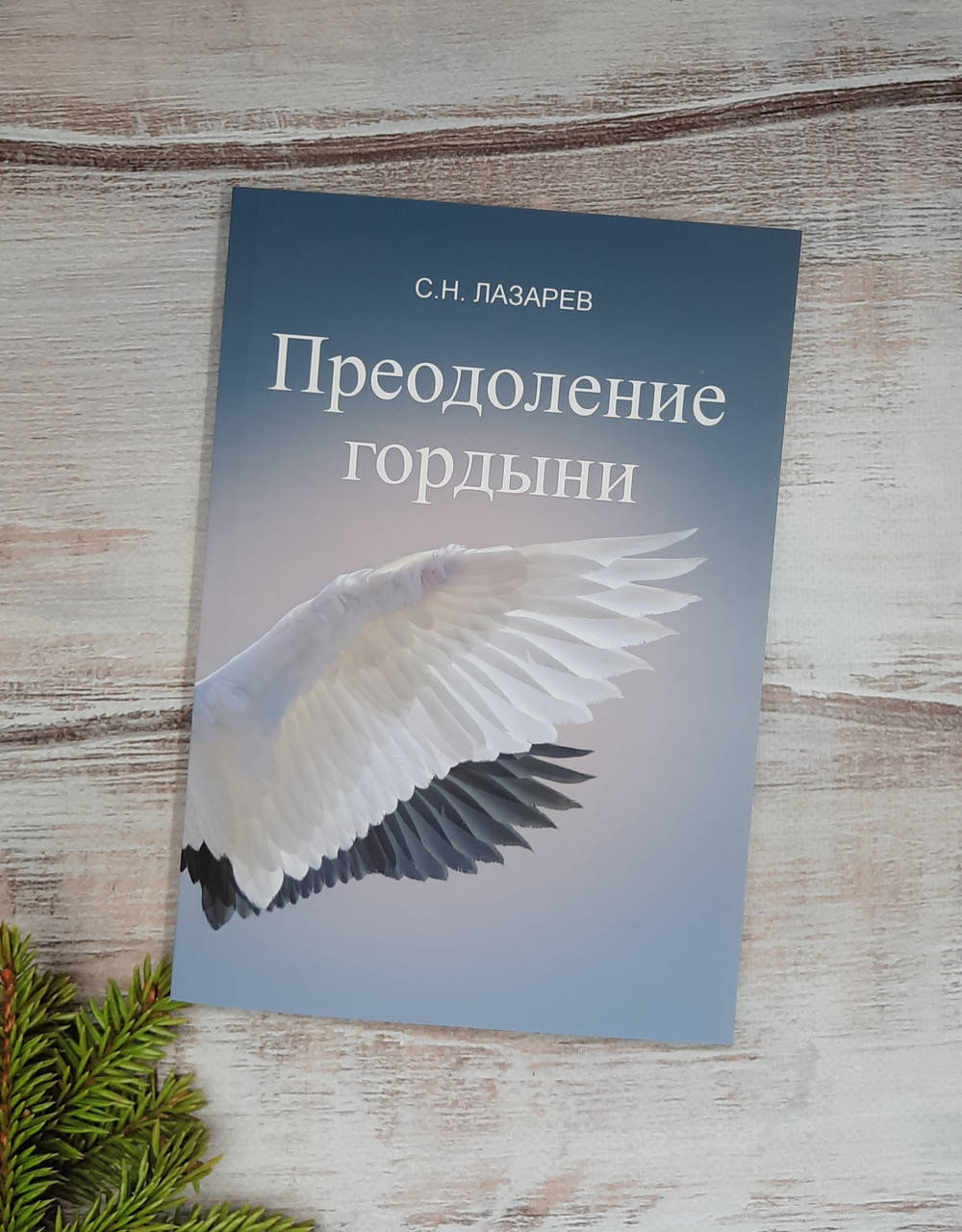 

Лазарев Преодоление гордыни