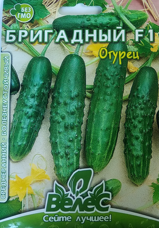 

Семена огурца Бригадный 2,5г ТМ ВЕЛЕС