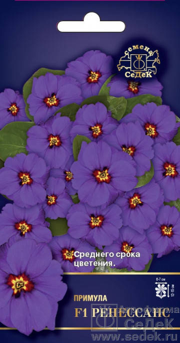 

Семена Примула бесстебельная Ренессанс F1 5 семян Седек, Синий