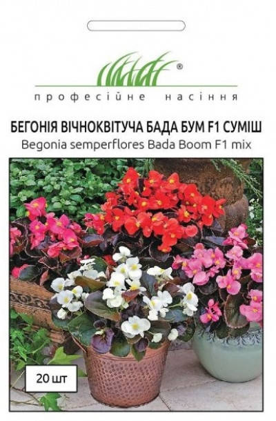 

Профсемена. Семена цветов Бегония Бада Бум, 20 сем.