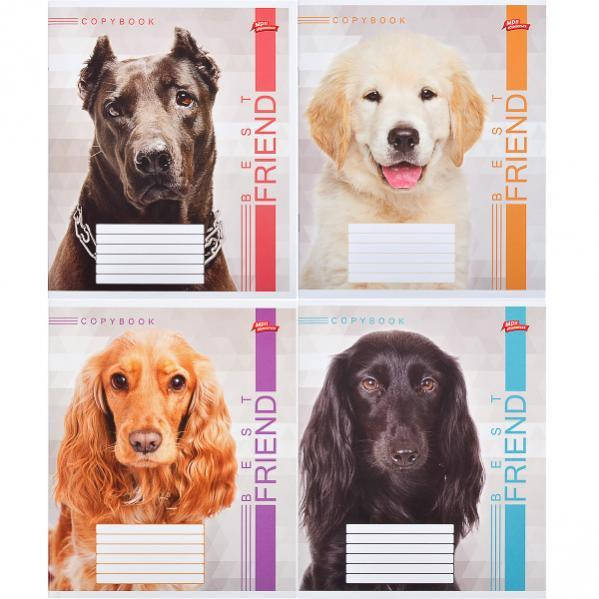 

Тетрадь 48 листов клетка "МРІЇ" / Лучший друг