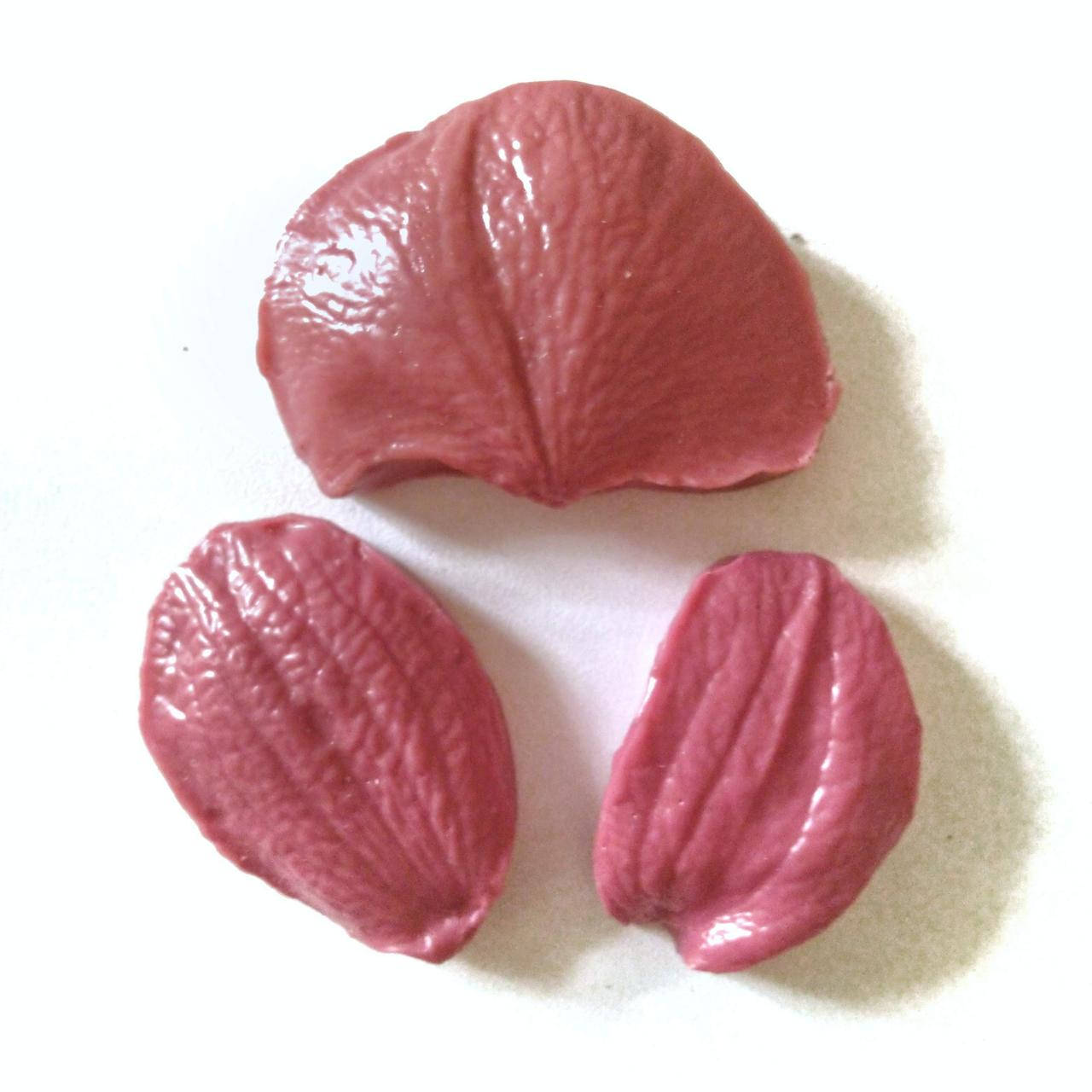 

Молды набор Лепестки Орхидеи 4х6 см, 5х3 см, 4х3 см