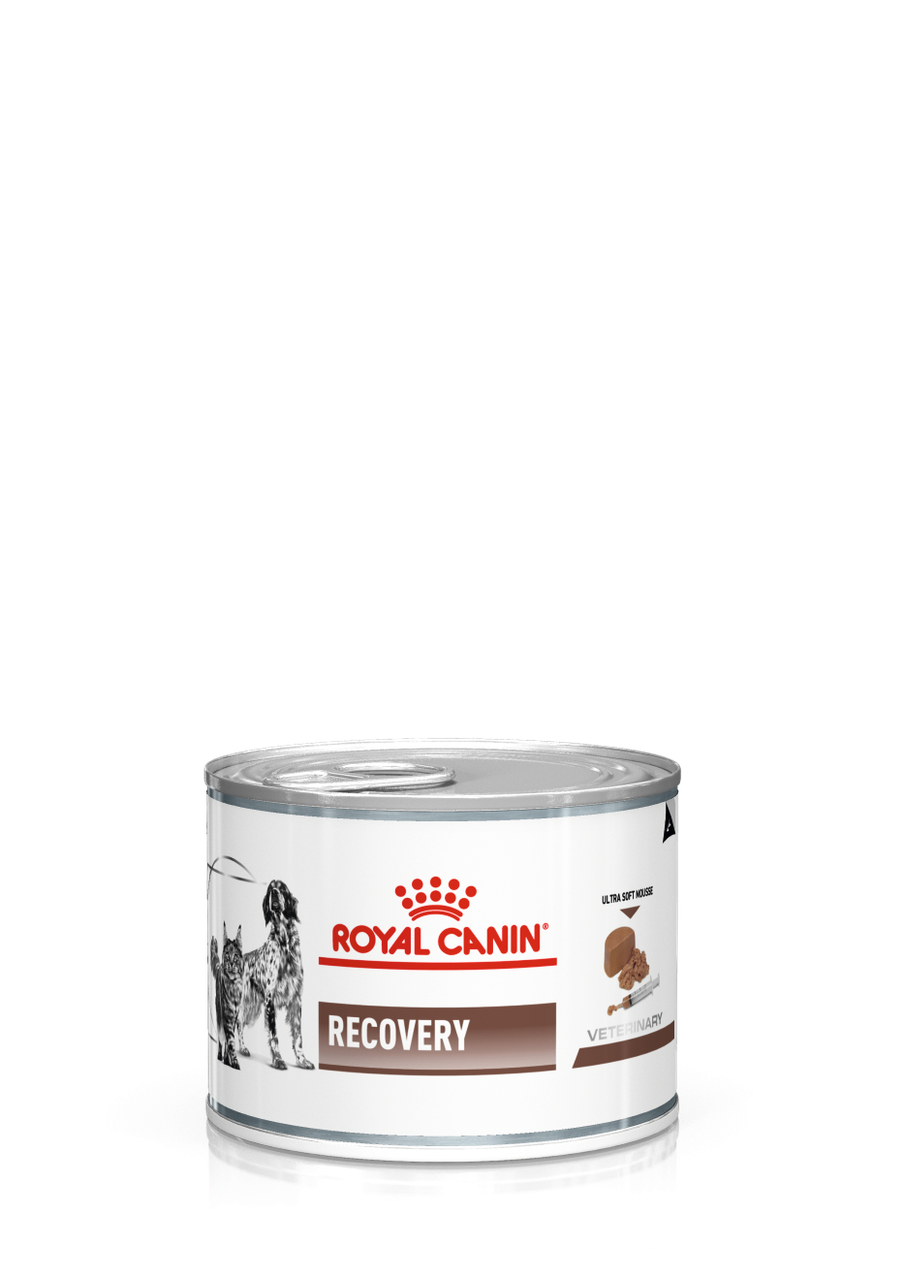 

ROYAL CANIN RECOVERY 195 g