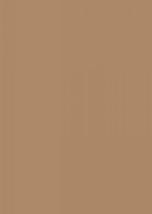 

Папір для дизайну Tintedpaper А4 (21*29,7см), №73 капучіно 130г/м, без текстури, Folia