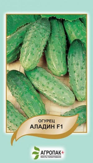 

Семена Огурец Аладин F1 20 сем W.Legutko (2537)