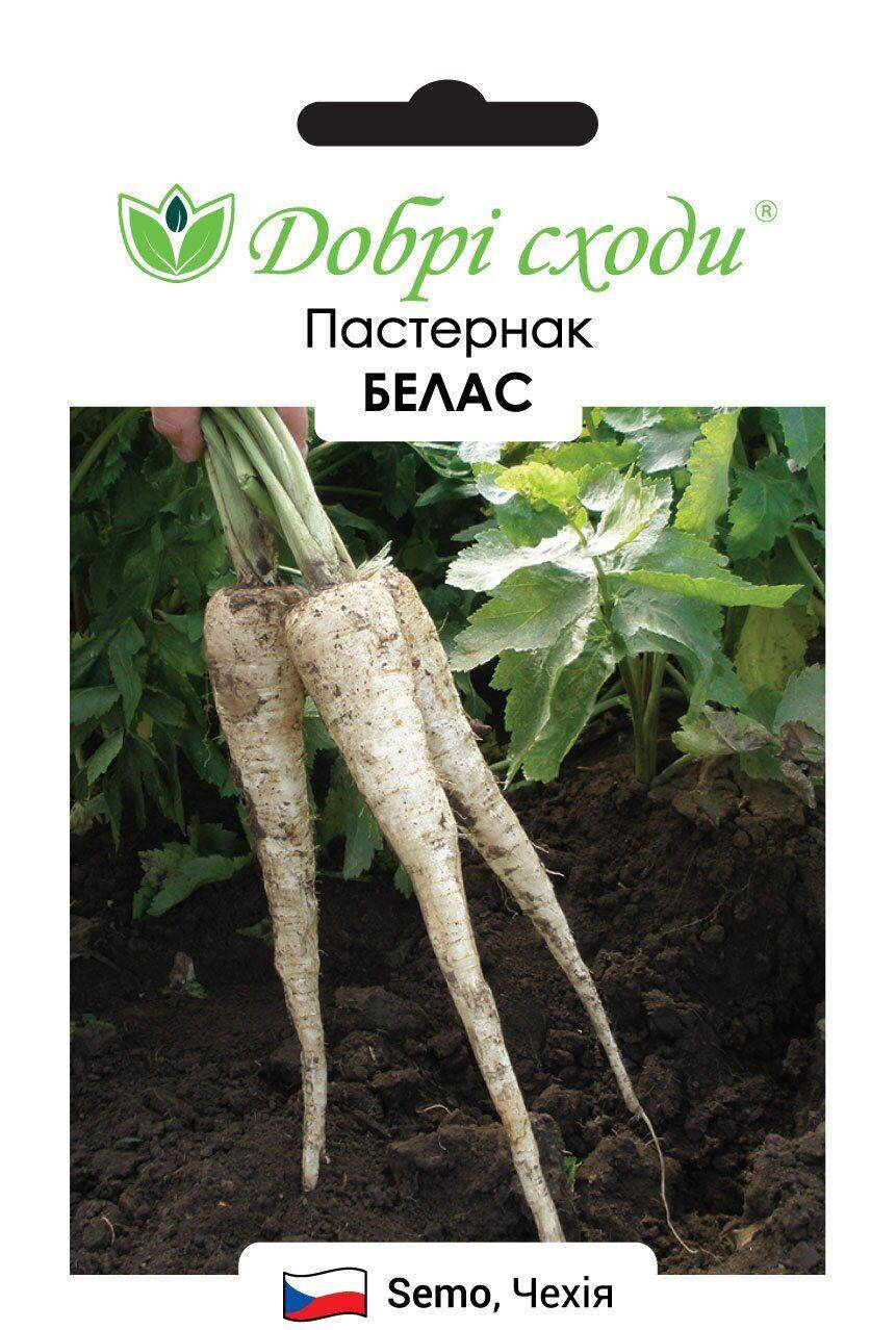 Пастернак Семена Купить