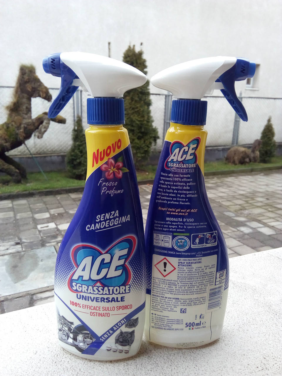 

Чистящее средство универсальное ACE Sgrassatore 800 мл.