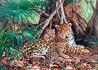 

Пазл С-300280, "Ягуар" 3000 эл., 92x 68 см, упаковка 38.5 х 27.5 х 5 см