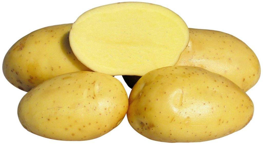 

Картофель семенной Вивиана 1 кг сверхранняя 1 репродукция Europlant