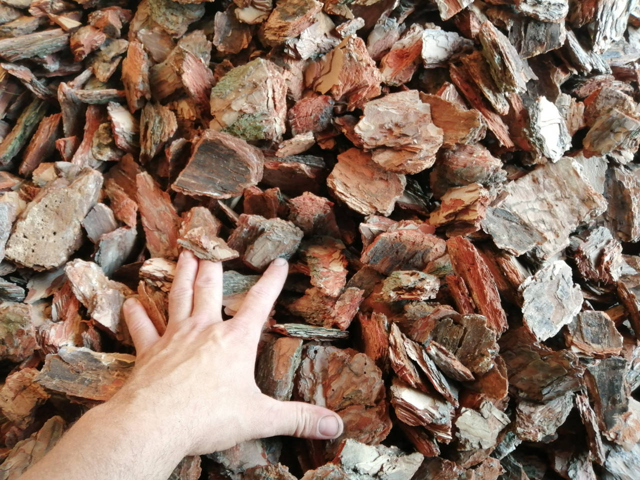 

Кора сосновая продажа Кора для мульчирования Киевская область