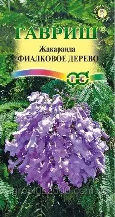 

Семена Жакаранда Фиалковое Дерево 3 сем. Гавриш, Фиолетовый