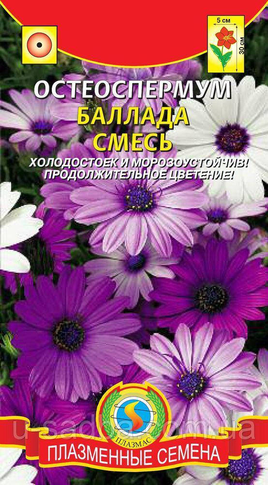 

Остеоспермум Баллада смесь 4 шт (Плазменные семена)