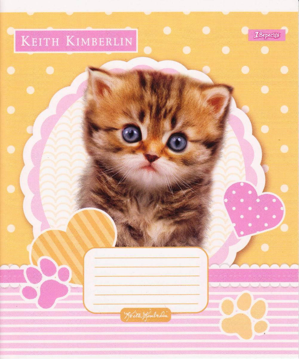 

Тетради школьные 12 л. клетка "Keith Kimberlin" 765328