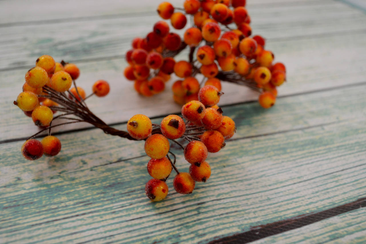 

Калина сахарная 12мм пучок 18-20 веточек цвет - желтый/красный