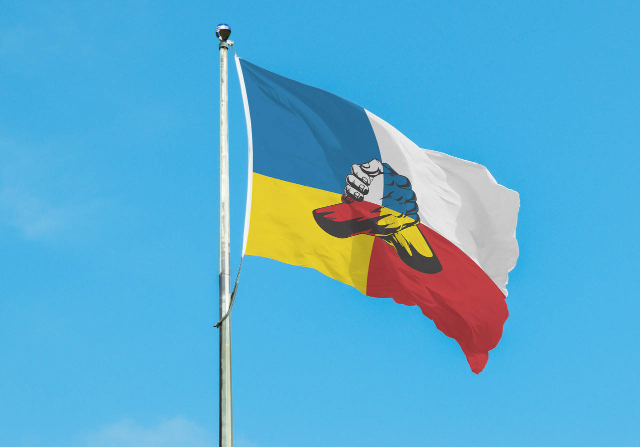 

Флаг Украина Польша friendship