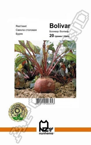 

Свекла Боливар - 20 грамм А (Nunhems)