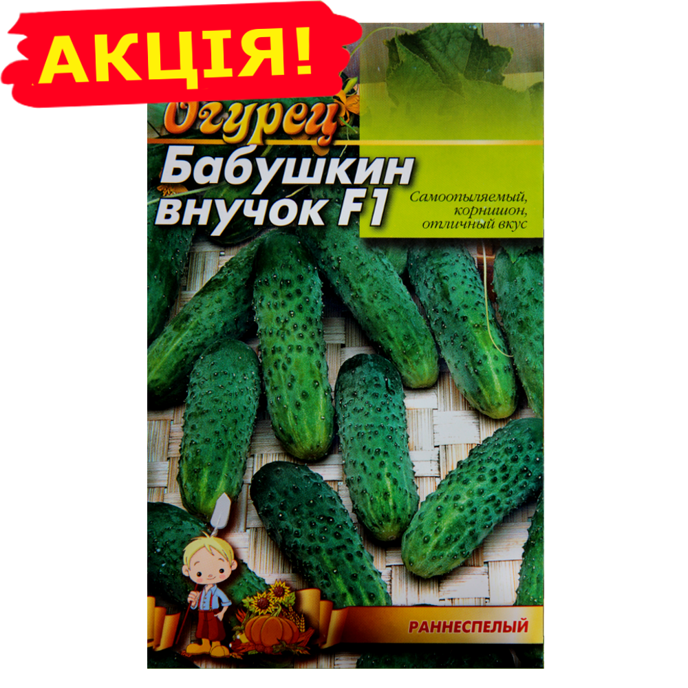 

Огурец Бабушкин внучек F1 раннеспелый большой пакет 3 г