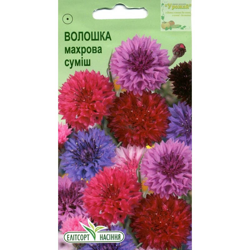 

Семена цветы Василек махровая смесь, 0,5 г
