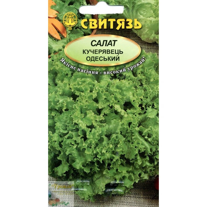 

Семена салат Кучерявец одесский, 0,5 г
